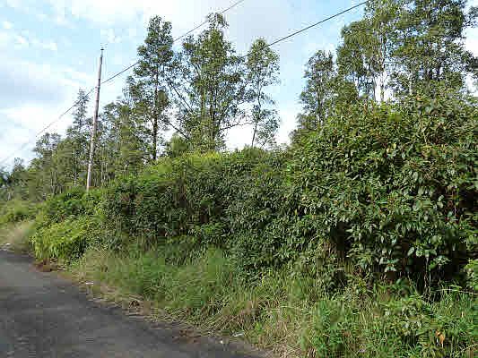1st image of Paradise Dr Lot 19