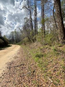 10201 Francess Ave, Andalusia, AL, 36421