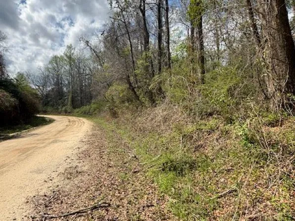 10201 Francess Ave, Andalusia, AL 36421