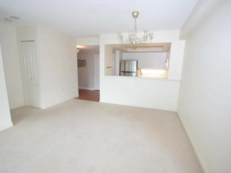 7380 Elmbridge Way #1510 — Photo 4