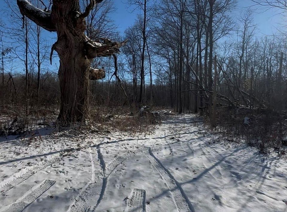 2nd image of 7021 Palms Rd