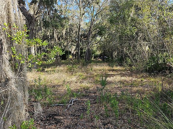 2nd image of 304 Burford Rd