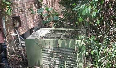 3rd image of 309 Dogwood St