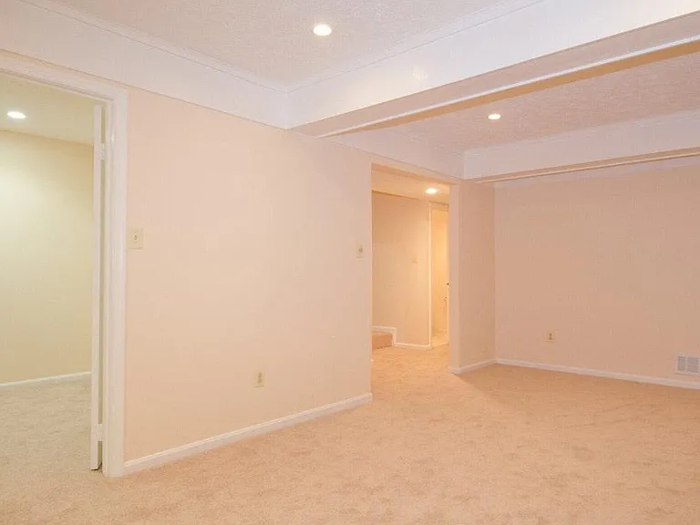 10336 Hampshire Green Ave — Photo 10