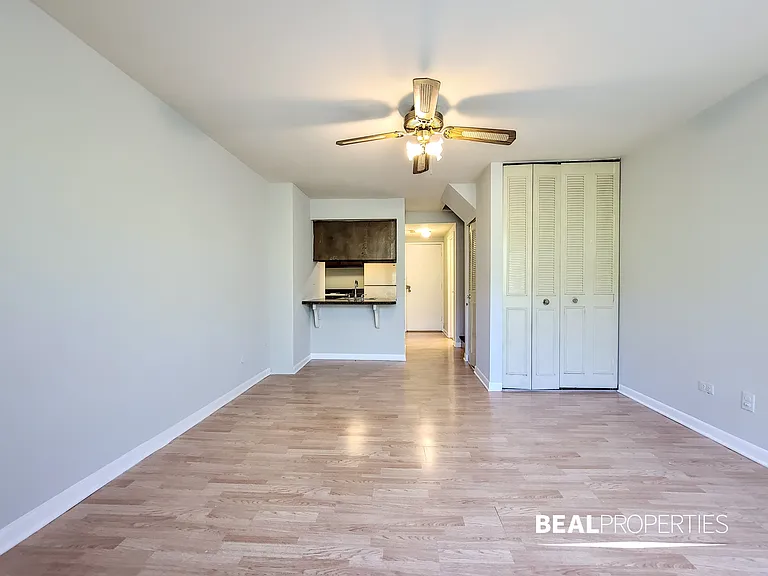 445 W Barry — Photo 166