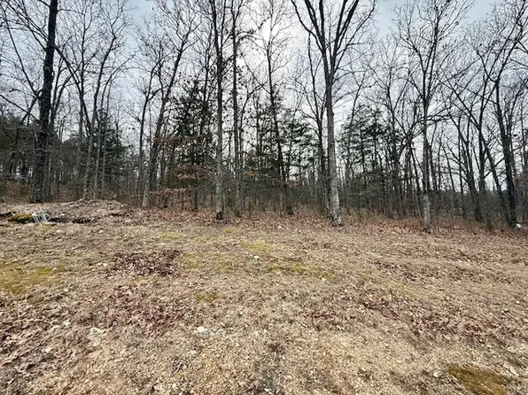 Lot 82 Green Cypress Lane, Shell Knob, MO 65747