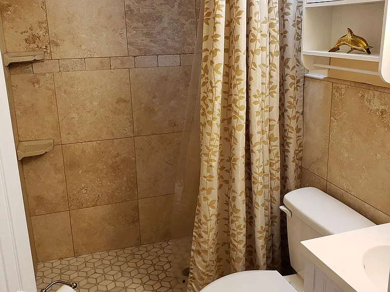 Master bath with shower.