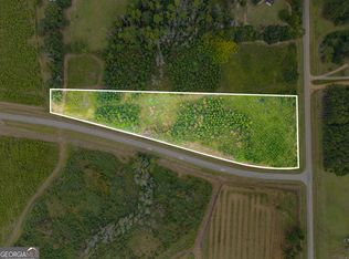 0 G W Oliver Rd LOT 1, Statesboro, GA 30458