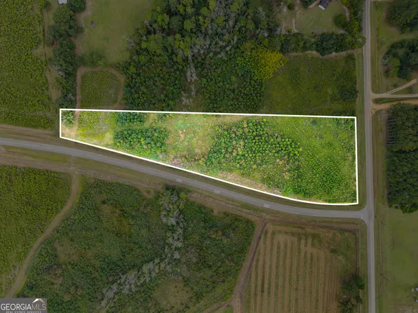 0 G W Oliver Rd Lot 1, Statesboro, GA 30458