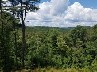 10 Fish Camp Way, Mineral Bluff, GA 30559