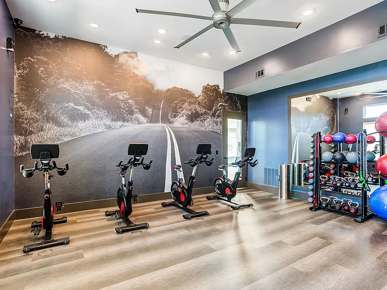 Icon Apartment Homes at Hardin Valley — Photo 8