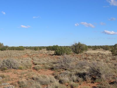 Sec 3 #R17e-se4-t14n, Heber, AZ, 85928
