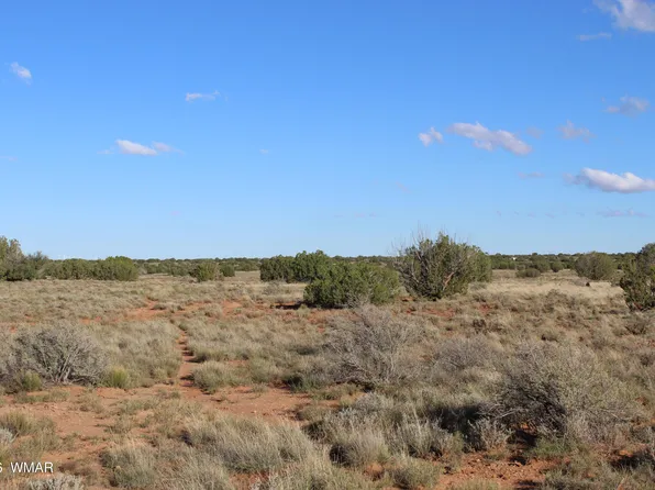 Sec 3 #R17e-se4-t14n, Heber, AZ 85928