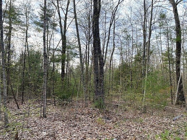 2nd image of 12-12 New Athol Rd #L