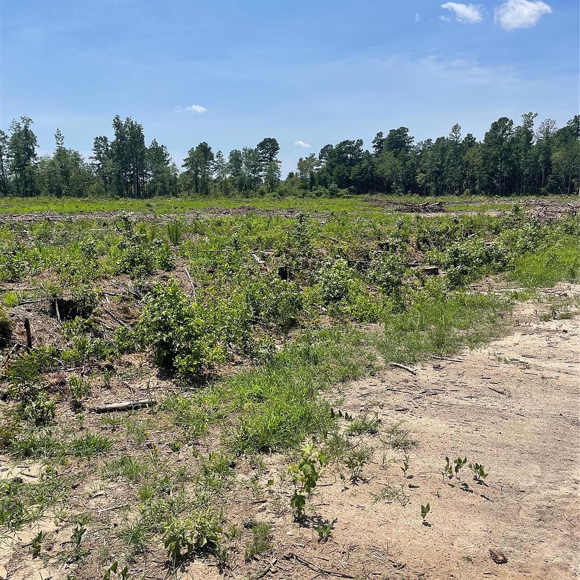 555 Porcelain Ln, Maxton, NC 28364 MLS 4068808 Zillow