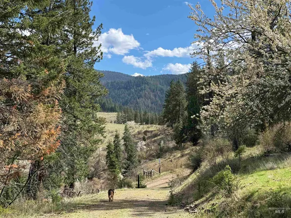 442 Elk City Wagon Rd, Stites, ID 83552