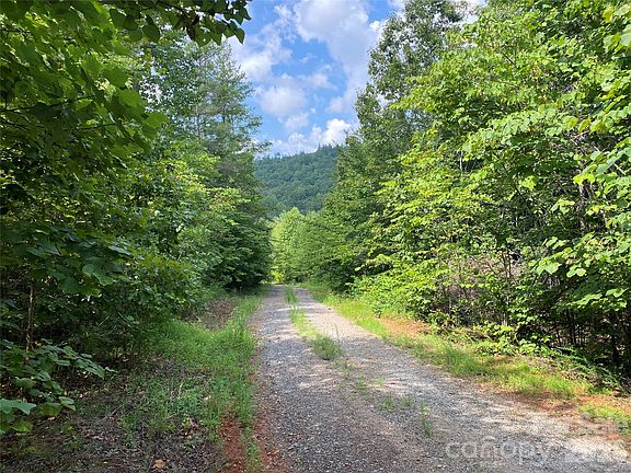 3rd image of 0 Camp McCall Rd