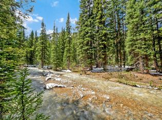 202 Yonley St, Montezuma, CO 80435