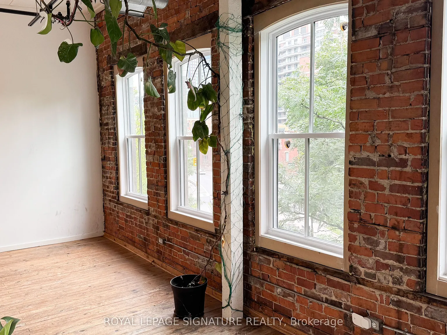 Studio, $2,800 — Photo 4
