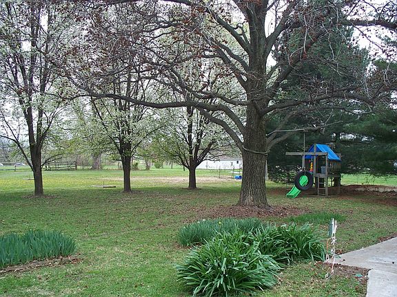 Large Backyard
