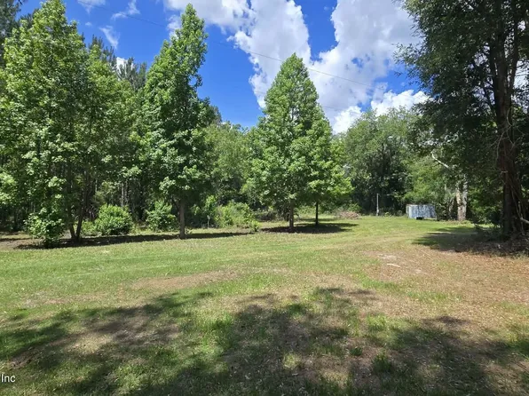 3923 SKIPPER Road, Middleburg, FL 32068