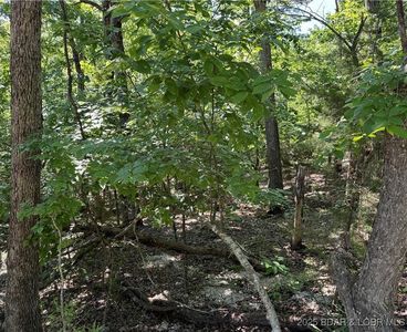 (Undisclosed Address), Camdenton, MO, 65020