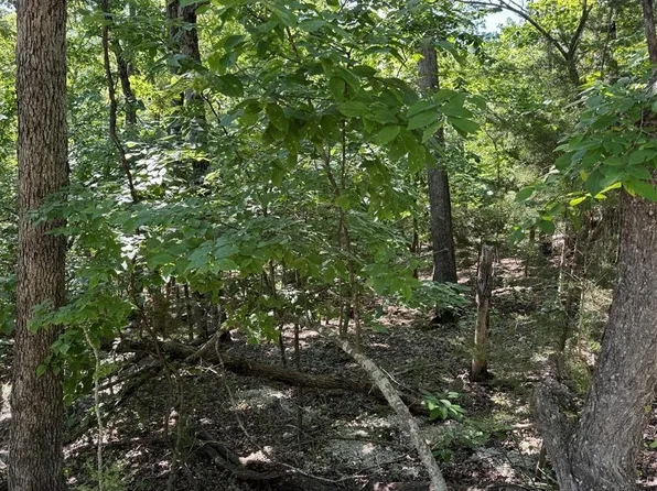 (undisclosed Address), Camdenton, MO 65020