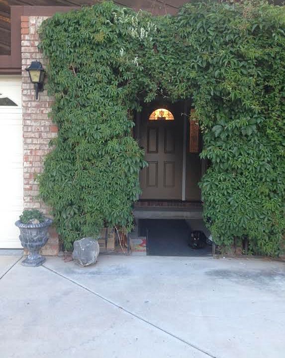Flowering Arbor & new door
