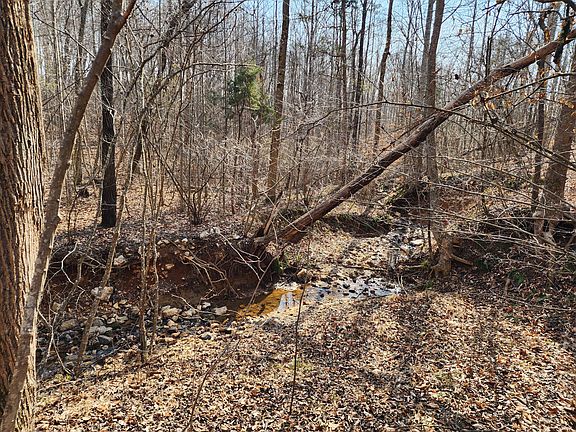 3rd image of LOT 18 Turkey Run Ln