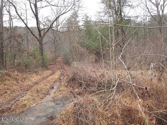 4th image of 5960 Poor Valley Rd