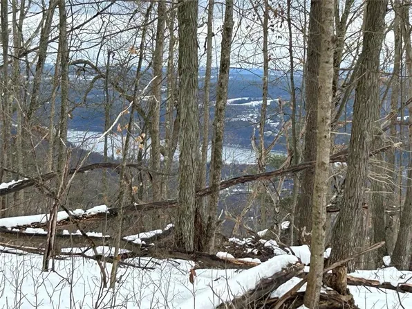 Hammondsport Rd Lot 47, Bath, NY 14810