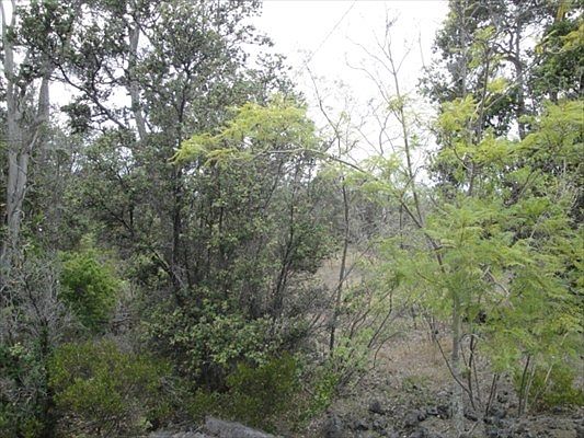 5th image of Sea Breeze Pkwy Lot 31