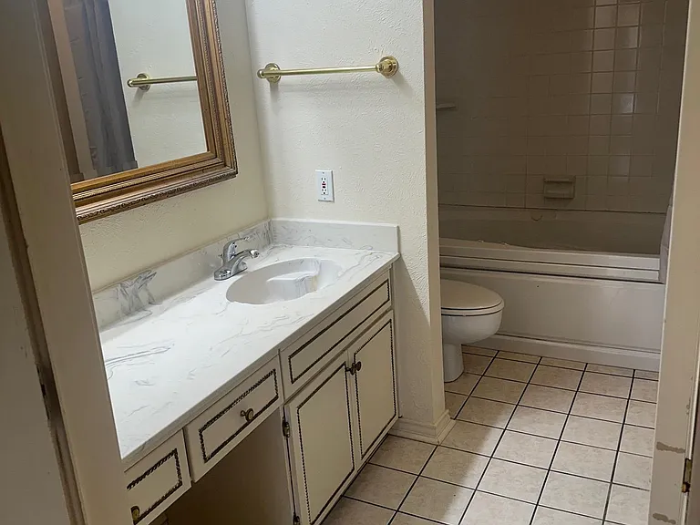 6050 Birchbrook Dr #242 — Photo 9