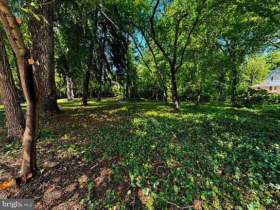 4th image of 389 Avondale Cir