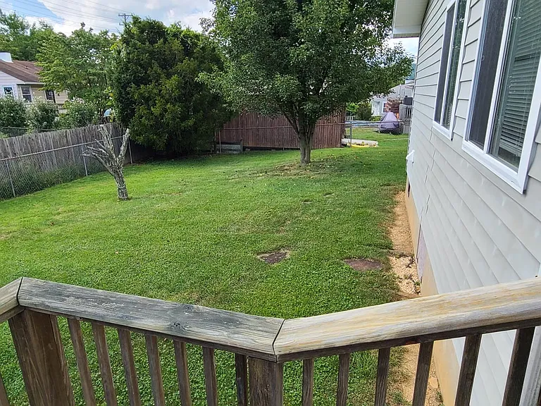 backyard