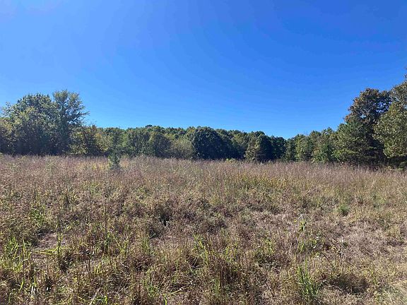 3rd image of TRACT 5 Polk Rd #78