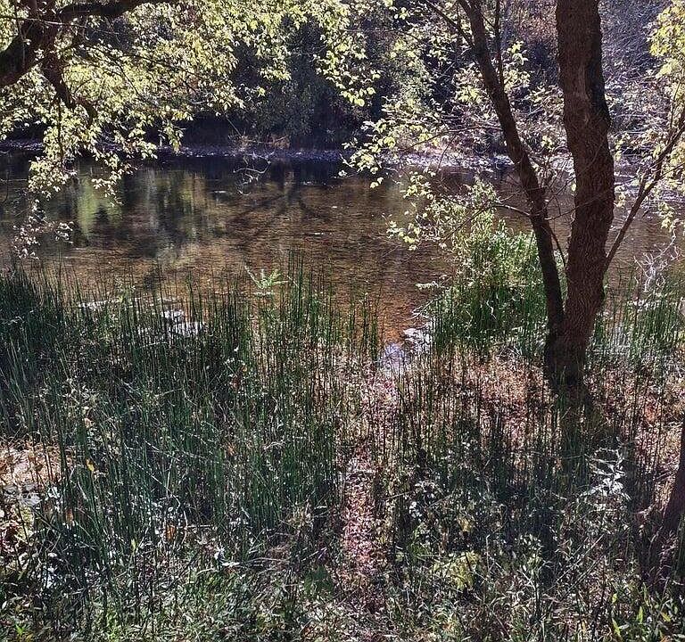 1st image of Tbd N Fork River Rd