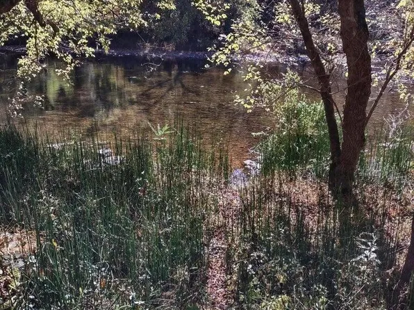 Tbd N Fork River Rd, Abingdon, VA 24210
