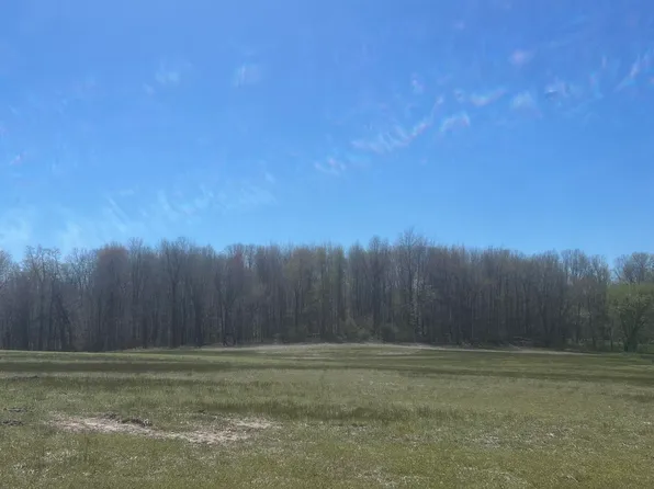 133rd Ave Parcel B, Wayland, MI 49348