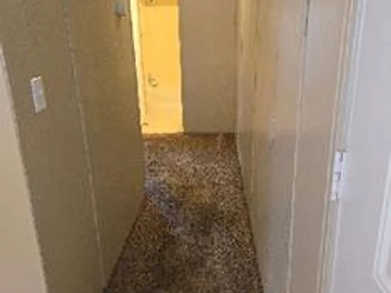 333 N Meldrum St #2 — Photo 18