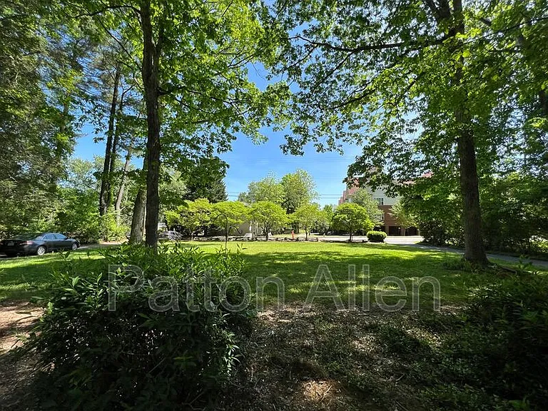 133 Springside Rd — Photo 18