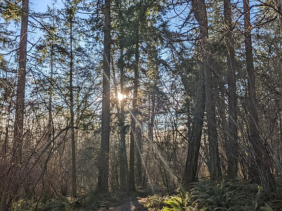 Kaiser wood trail less than a 2 min walk