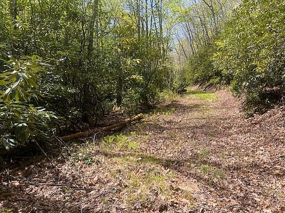 4th image of LOT 76 Cove Rd