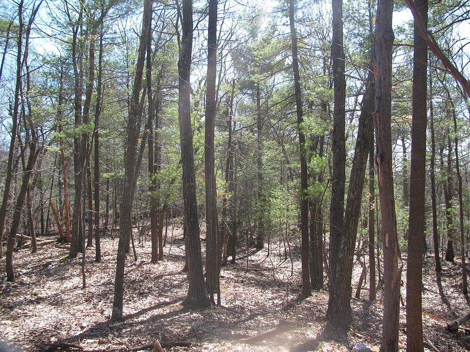 2nd image of Cedar Lane