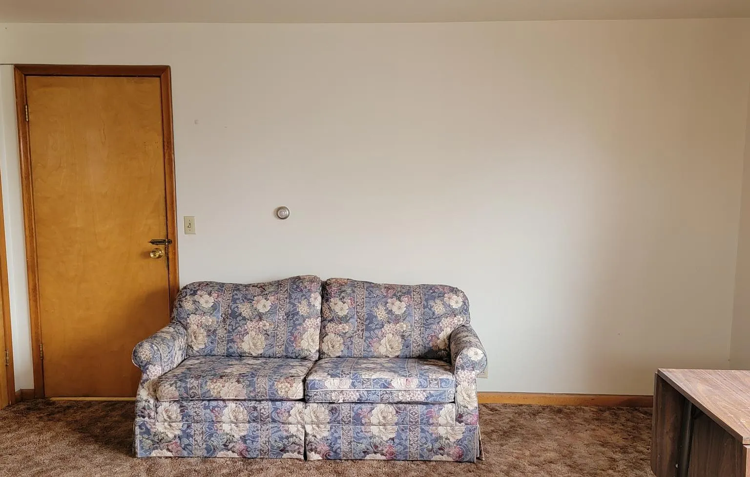 1 bed, $800 — Photo 3