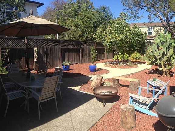 Backyard 1
