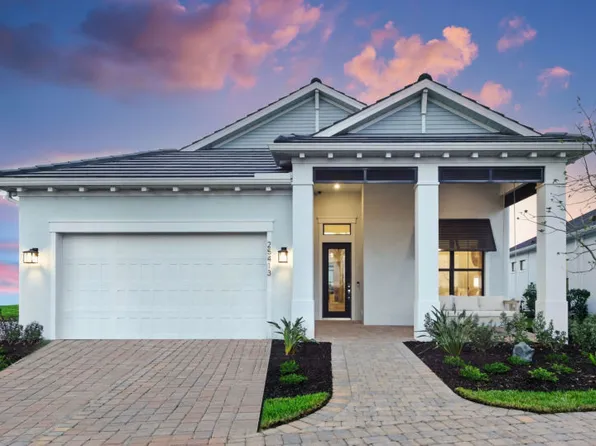 Brixton Plan, Vivid Shores