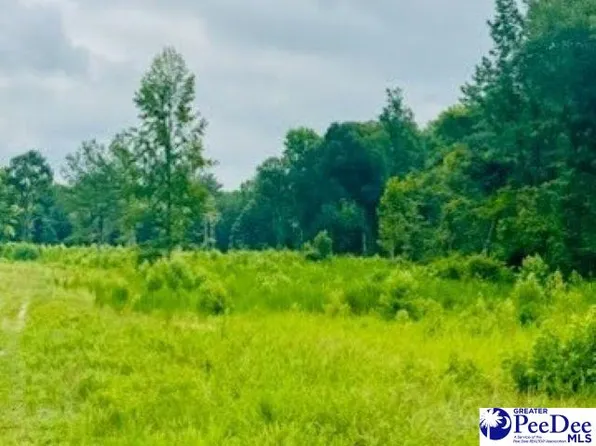 0 Santa Anita Rd, Cheraw, SC 29520