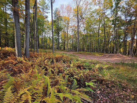 4th image of TBD Evergreen Lane