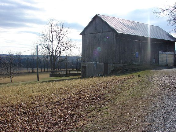 Driveway to the farm